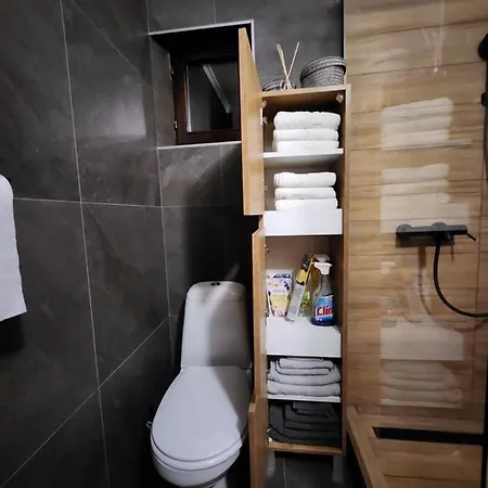 Detelina Apartment *